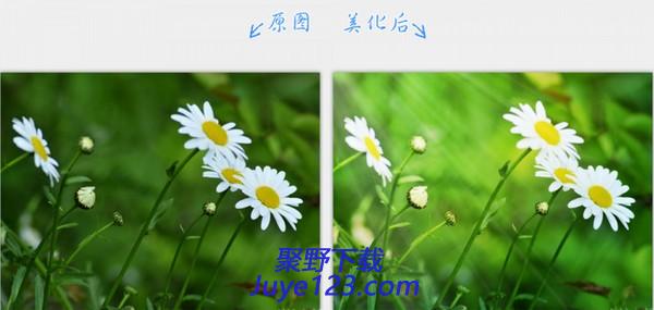 2345看图王官方下载