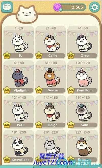 神秘的猫科牙医