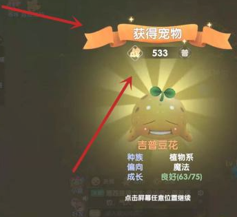 《摩尔庄园》怎么捕捉精灵