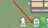 《摩尔庄园》怎么捕捉精灵