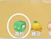 《摩尔庄园手游》怎么放孔明灯