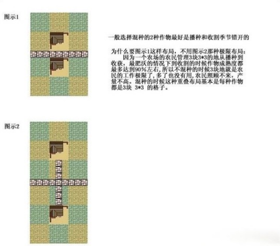 龙之崛起攻略