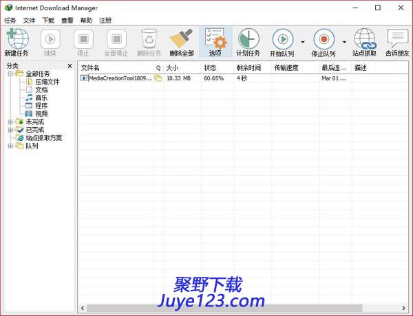 Internet Download Manager电脑版下载 v6.38